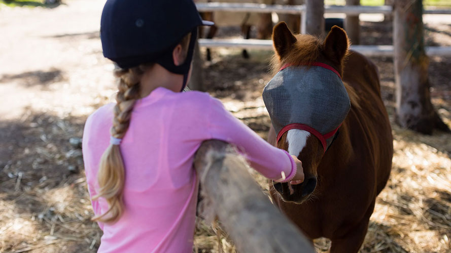 A girl is patting her horse